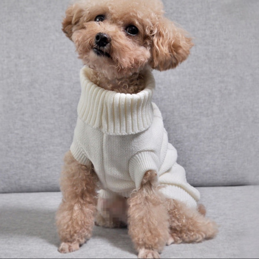 🤍Dog Cat Sweater Pullover Small size Pet Clothes